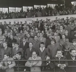 Reading fans in the enclosure