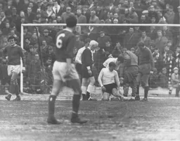 Fred Jardine gets some treatment