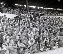An expectant enclosure crowd