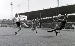 Laurie Sheffield has his point blank range shot saved by David Best