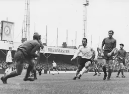 Laurie Sheffield ready to pounce.