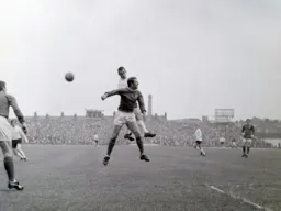 Laurie Sheffield gets above Frank Rankmore