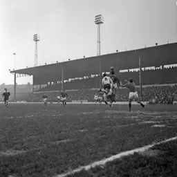 Laurie Sheffield puts pressure on