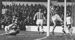 The ball hits the back of the net