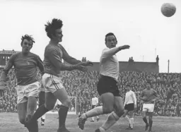 Laurie Sheffield goes close