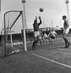 The ball drops nicely into the Gills goalkeepers hands