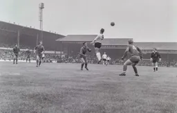 Laurie Sheffield on his own