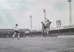 Laurie Sheffield in amongst it