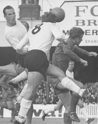 The heavy brigade charges in