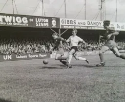 John Collins makes his presence felt