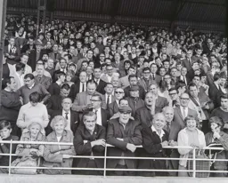 Smiles for the camera