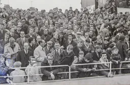 Enclosure spectators