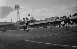 Matt Tees wins the header