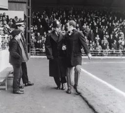 I didn't do anything