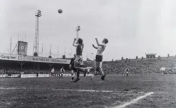 Matt Tees waiting for the ball to drop