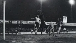 John Collins rises high