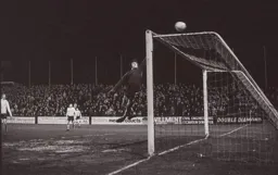 Fulham keeper tips the ball over