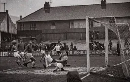 Everyone misses the ball