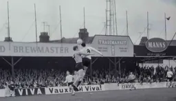 Matt Tees rises highest