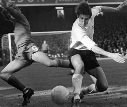 A determined Chris Nicholl