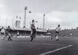 Malcolm Macdonald dominating again