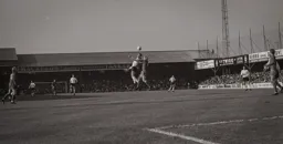 John Moore watches the aerial duel