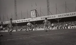 Malcolm Macdonald shoots