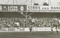 Jimmy Ryan gets his header in