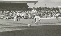 Malcolm Macdonald causes panic