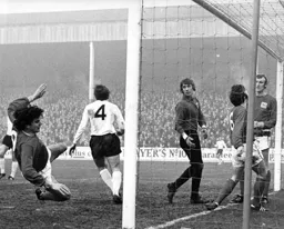 Forest defend in depth