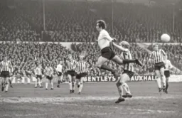 Roger Hoy pushed surely