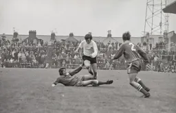 Peter Anderson foiled