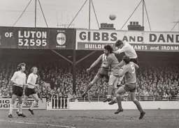 Chris Nicholl gets up