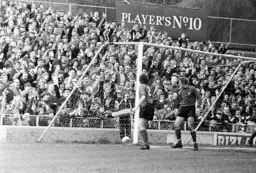 Tony Read can't believe it