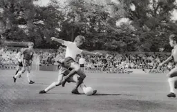 Viv Busby dispossesed