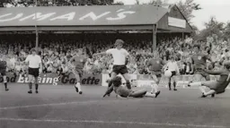 Viv Busby lively in the Colchester box