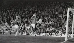 Jimmy Ryan flies into the box