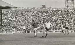 David Court in control