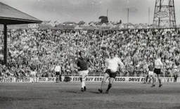 David Court on the ball