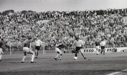 Peter Anderson takes on Doug Collins