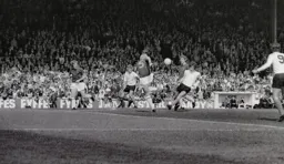 The ball is hoofed clear