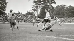 Robin Wainwright shoots wide