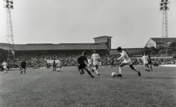 Viv Busby intercepts