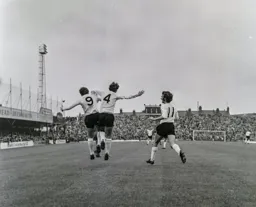 Hatters celebrations