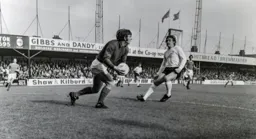 Vic Halom frustrated