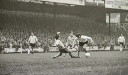 Peter Anderson slips through