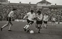 No way through for Viv Busby