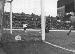 Peter Anderson opens the scoring