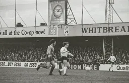 David Court in action