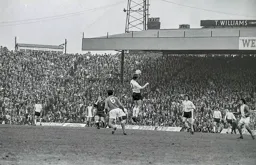 Viv Busby leaps